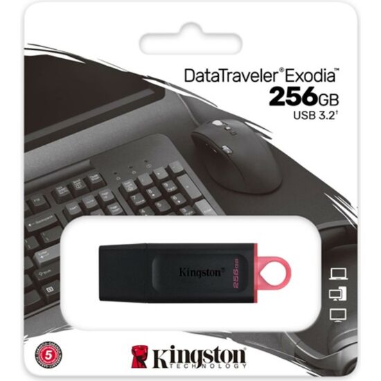 KINGSTON DTX/256GB Pendrive - Datatraveler Exodia