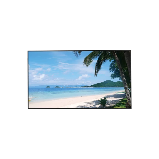 Dahua LM55-S400 55" monitor