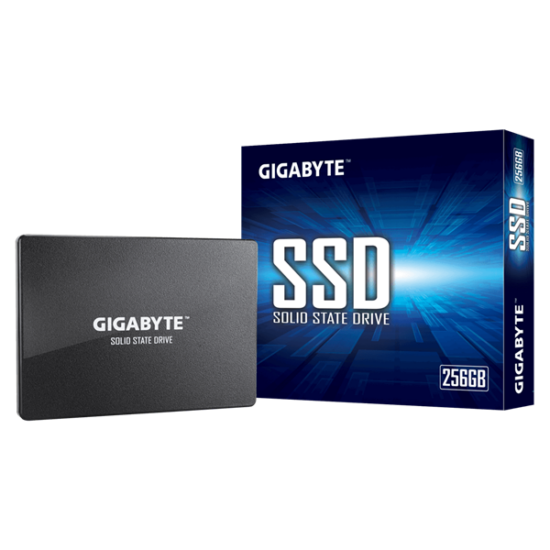 GIGABYTE GP-GSTFS31256GTND SSD - 256GB 2,5"
